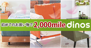 �ǥ��Υ�����饤�󥷥�å�