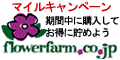�ޥ��륭���ڡ��󡡴�����˹������Ƥ���������褦��flowerfarm.co.jp