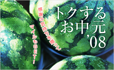 դε£äƥޥGETȥ뤪渵'08